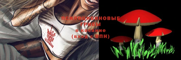дживик Баксан