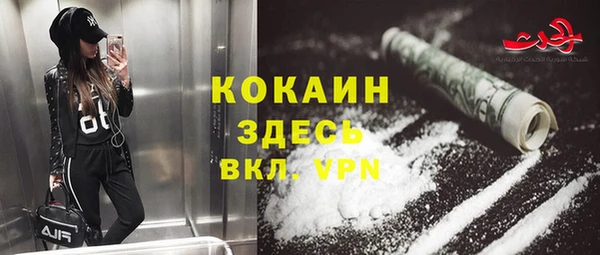 дживик Баксан