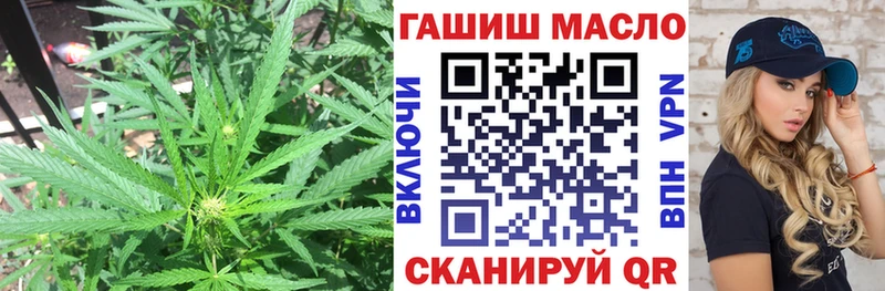 ТГК гашишное масло Малмыж