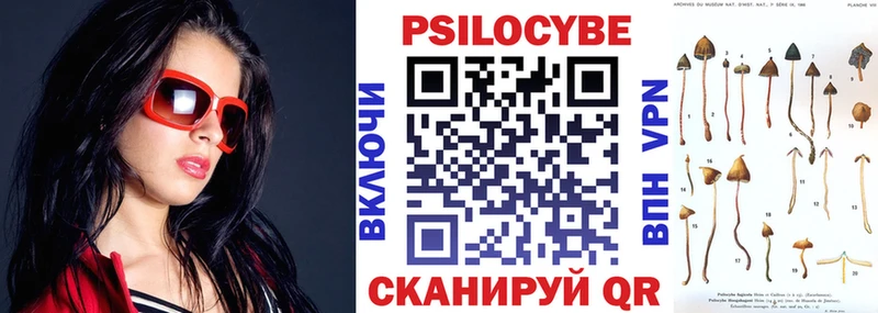 Галлюциногенные грибы Psilocybine cubensis Малмыж